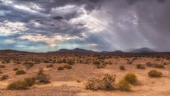 Mohave