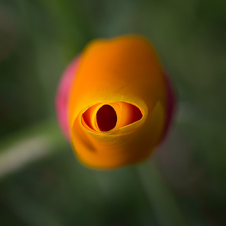 I see you too.
