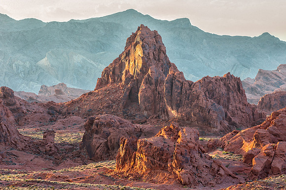 Desert Icons.