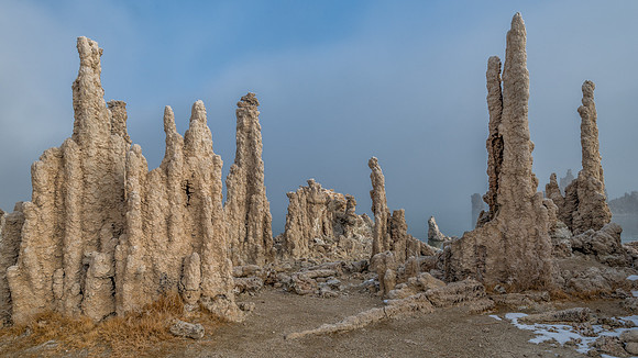 Mono Lake Surprise.